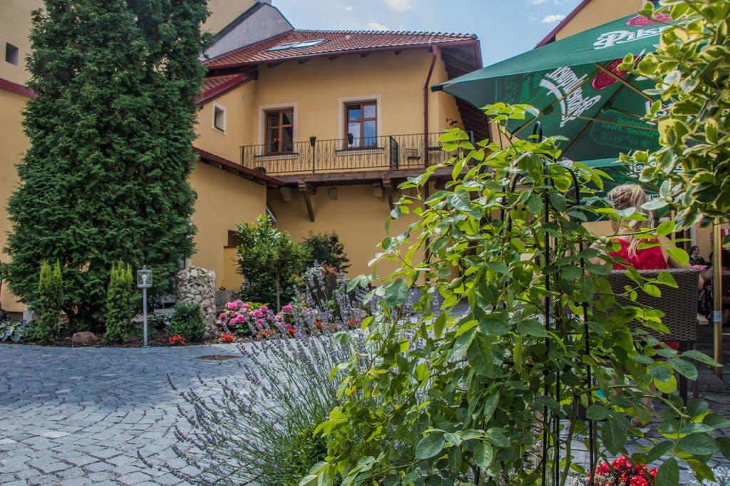 Pension Viktorin Подєбради Екстер'єр фото